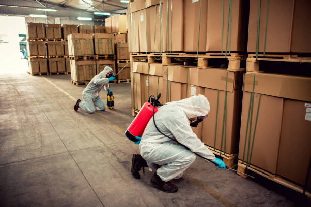Best Rat Extermination Near Me  in San Benito, TX