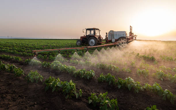 Best Best Pest Control Companies  in San Benito, TX