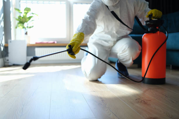 Pest Control for Restaurants in San Benito, TX