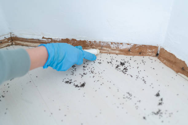 Wildlife Control Services in San Benito, TX